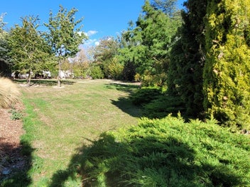 Private woodland retreat - Bannockburn