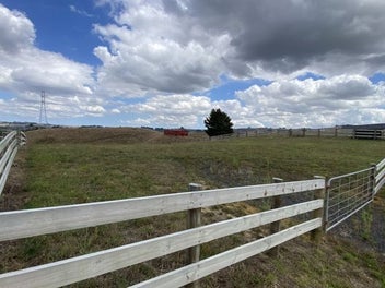 Image 1 of 8