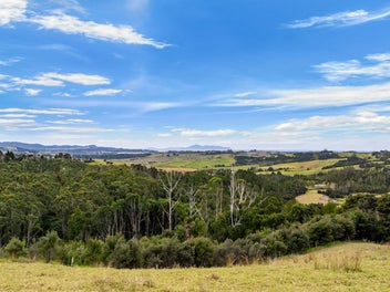 Views & Build Your Way!