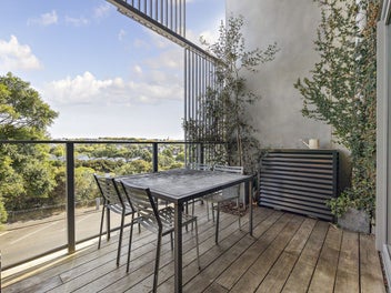 Urban Sanctuary