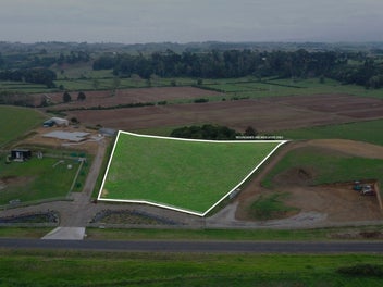 Image 1 of 12