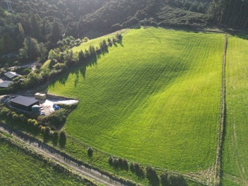 Prestigious Tirohanga Road section