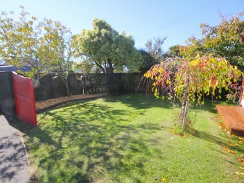 Urgent Sale - Jumping the Ditch