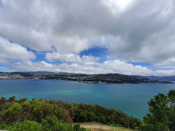 Image 1 of 8