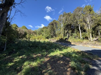 Discover your slice of paradise in Papatowai