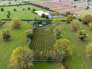 Image 1 of 24