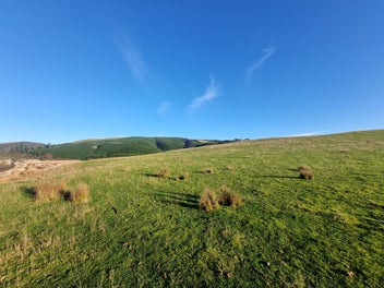 Image 1 of 12