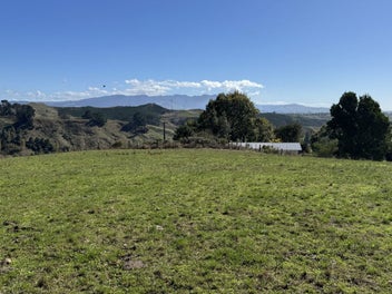 No Covenants, Big views, Small price