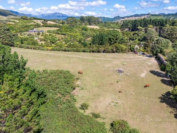 Kaitawa Native Forest Retreat