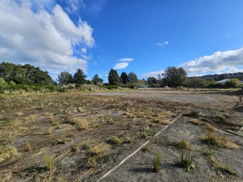 Rare find - no covenants, endless potential!