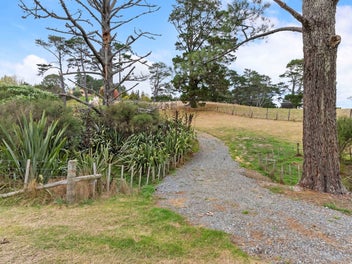 Contours with Personality, Tree Lovers Welcome
