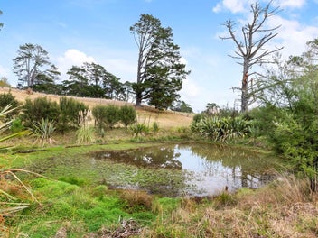 The Oasis on Pinestead.