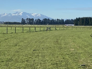 Image 1 of 25