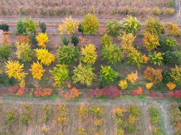 A Lifestyle to Fall in Love With