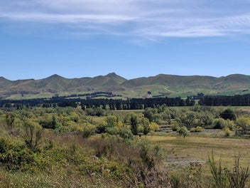 Image 1 of 15