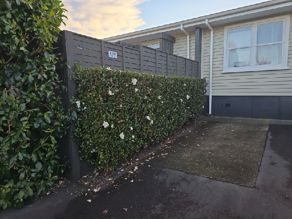 Image 1 of 9