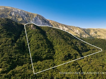 Lifestyle Block - 6.6ha in the Puhi Puhi Valley