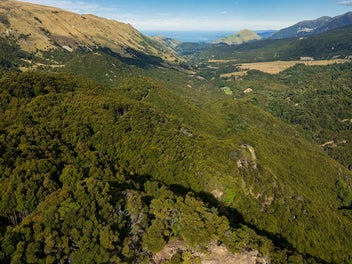 Lifestyle Block - 6.6ha in the Puhi Puhi Valley