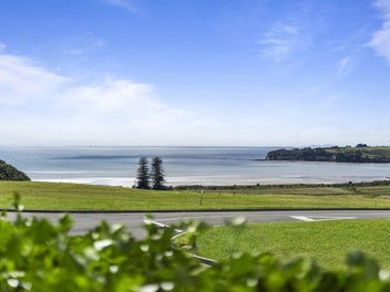 Image 1 of 24