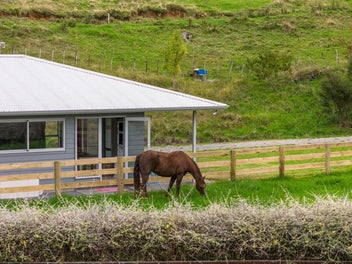 Waihi Lifestyle - Horse Lovers, Hobby Farmers