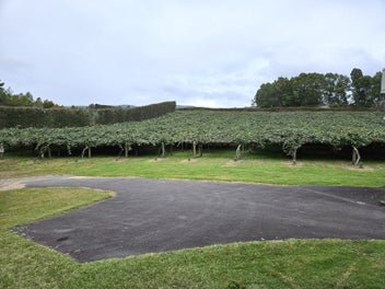 Image 1 of 26