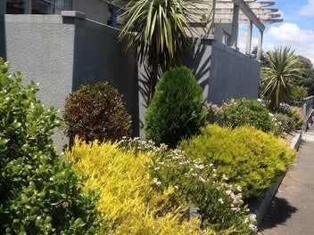 Image 1 of 11