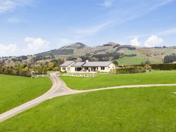 Image 1 of 36