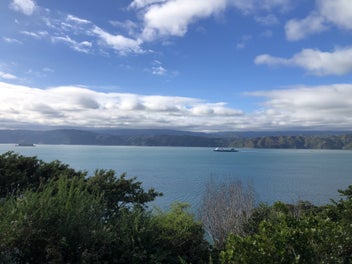 Image 1 of 15