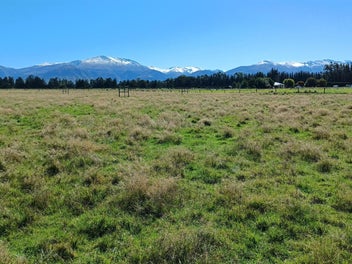 Image 1 of 15