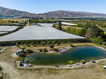 Immaculate Cherry Orchard with Lifestyle Potential