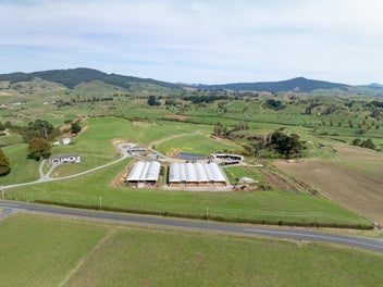 Image 1 of 21