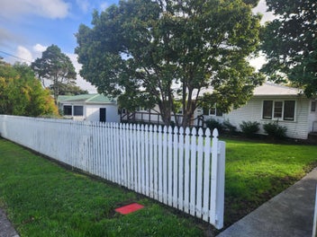 Image 1 of 15