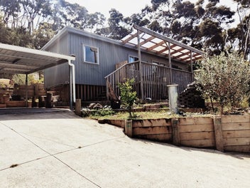 Image 1 of 7