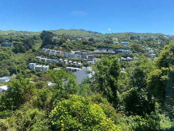 Image 1 of 13