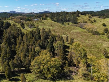 Image 1 of 12