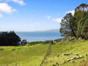 North-facing, sea views and ready to build