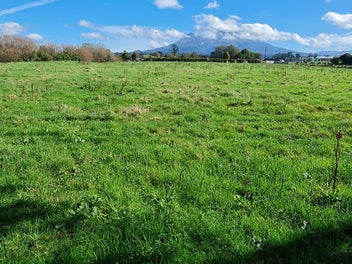 Image 1 of 23
