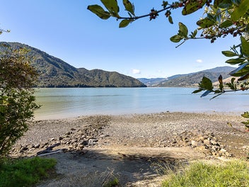 Private Native Bush Section - Priced to Sell