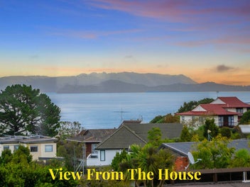 Skyline to Shoreline - Life With a View