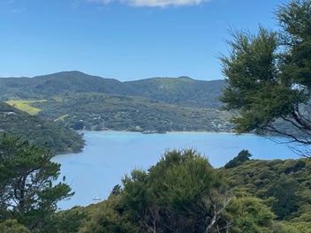 Ridgeline to harbour edge - 4.4 ha site with cabin