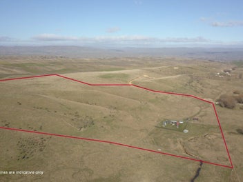 Image 1 of 20