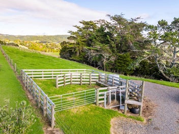 4.79Ha Lifestyle Block - Build your Dream Home