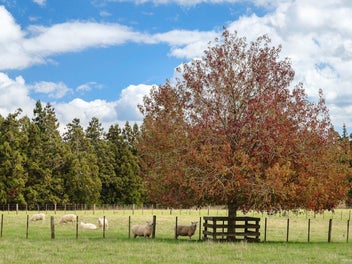 Your Dream Home Starts Here – Build Beside the...