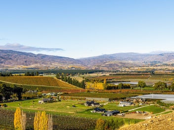 Panoramic Views | Unmatched Opportunity