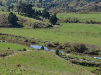Image 1 of 11