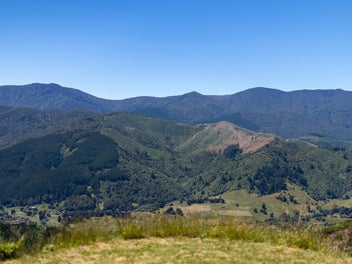 Image 1 of 12