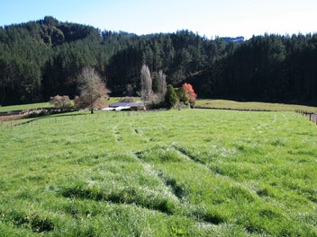 Image 1 of 23