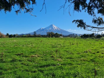 Image 1 of 24