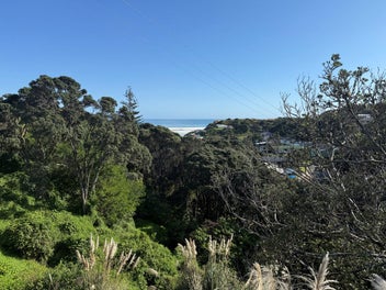 Image 1 of 17