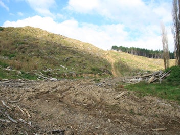 Image 1 of 20